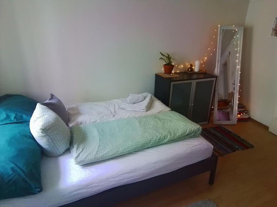 Tiny Flat Appartement Sankt Gallen Buitenkant foto